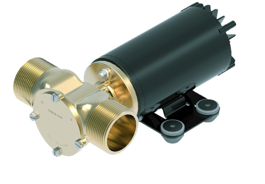 Reversible water deals pump